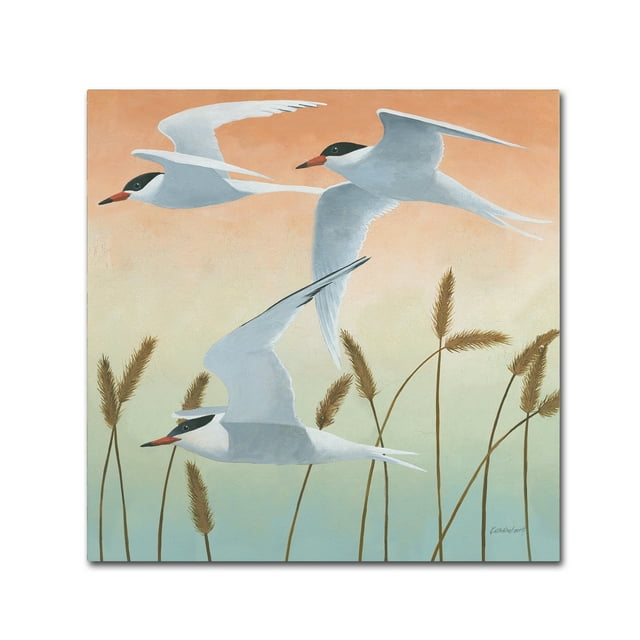 Trademark Fine Art 'Free as a Bird II v2' Canvas Art by Kathrine Lovell