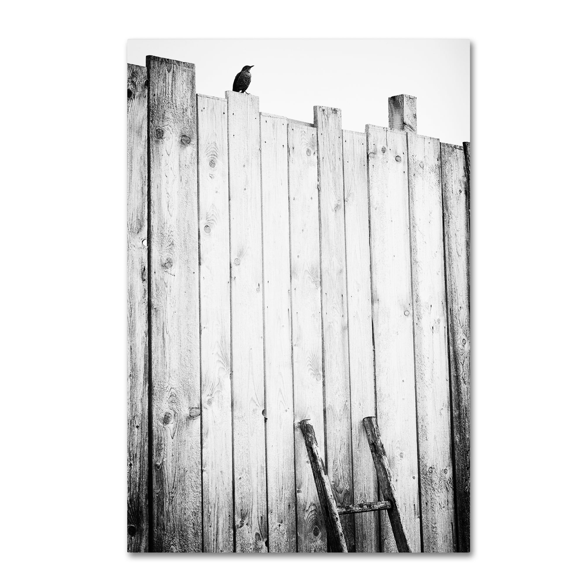 Trademark Fine Art 'Freed' Canvas Art by Jurgen Hartlieb