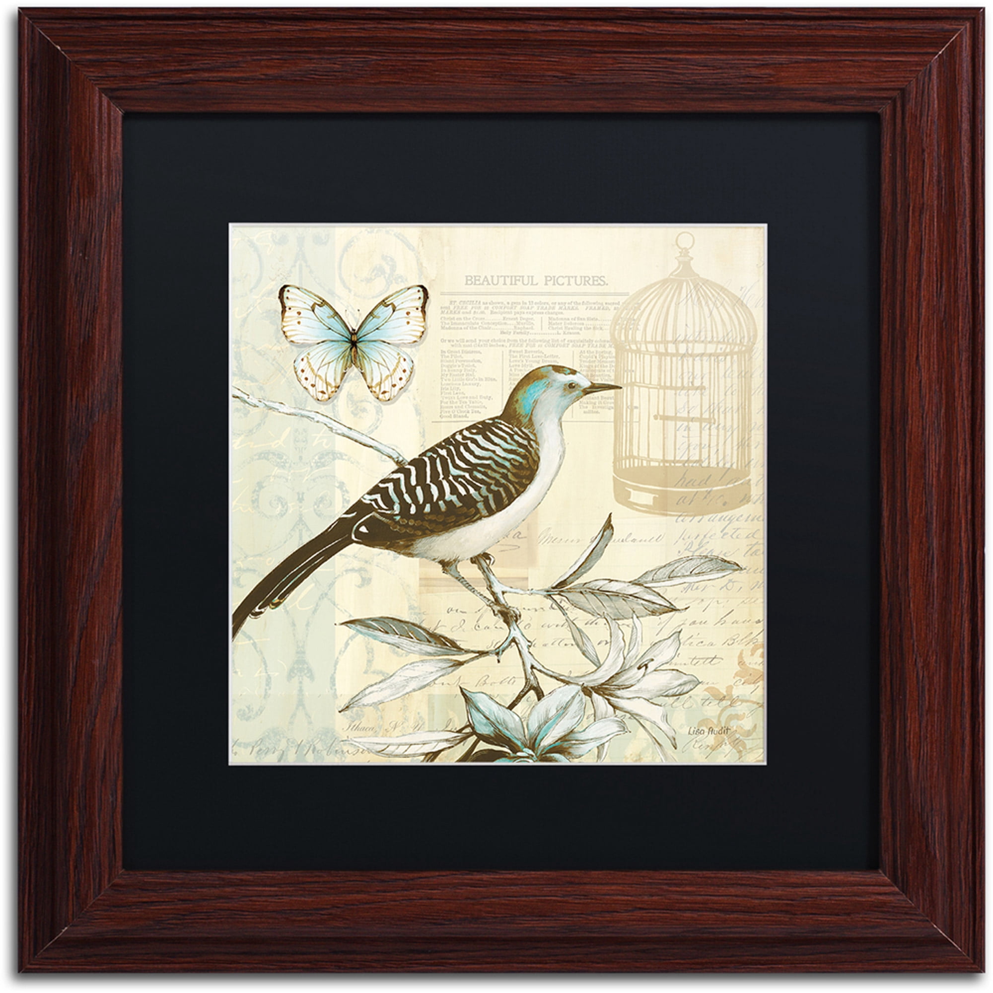 Trademark Fine Art "Freedom I" Canvas Art by Lisa Audit, Black Matte, Wood Frame
