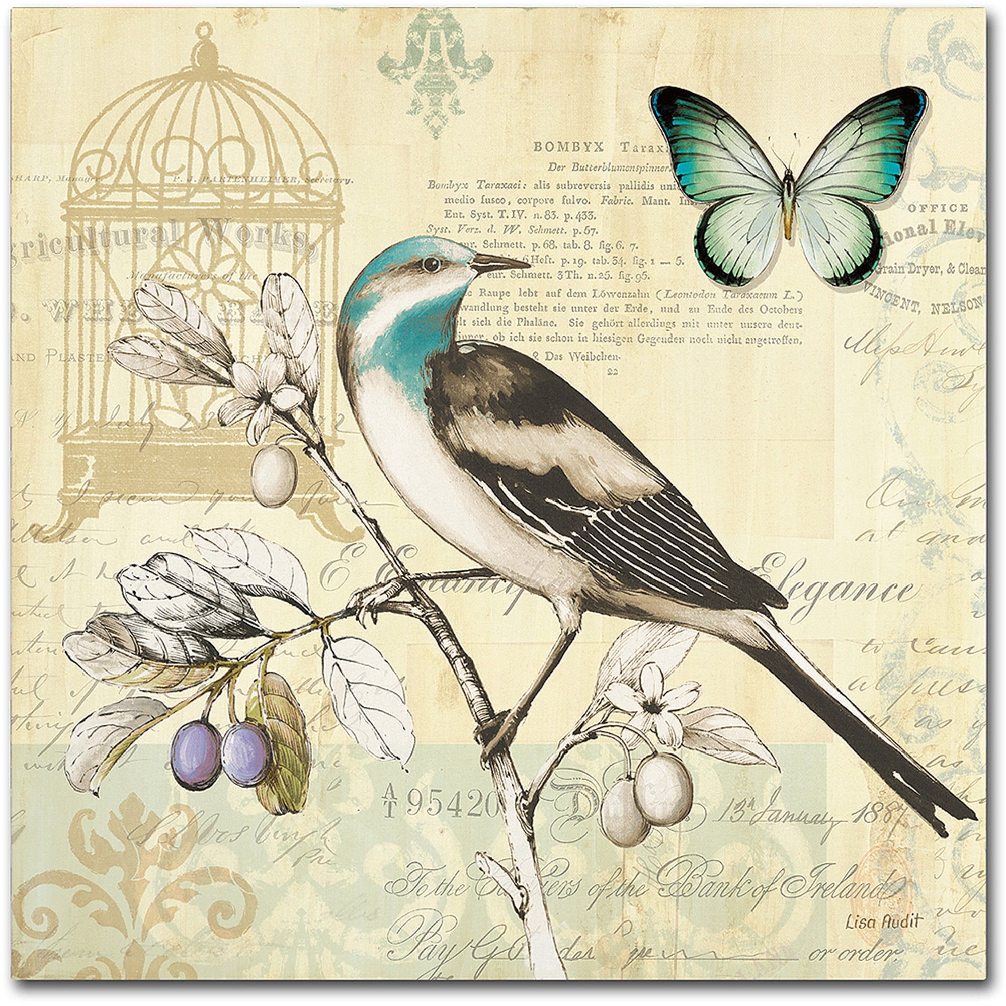 Trademark Fine Art "Freedom II" Canvas Art by Lisa Audit