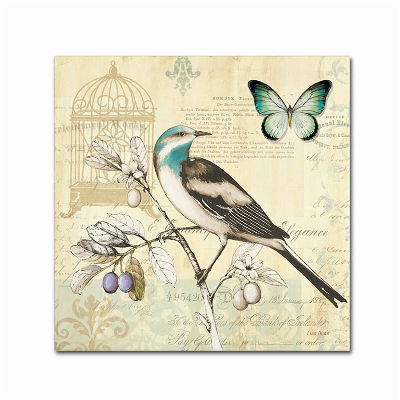Trademark Fine Art "Freedom II" Canvas Art by Lisa Audit