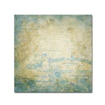 Trademark Fine Art 'French Blues' Canvas Art by Marcee Duggar