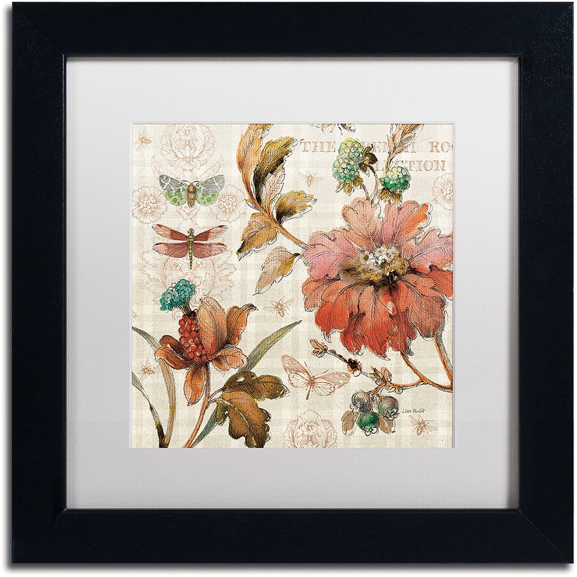 Trademark Fine Art "French Country V" Canvas Art by Lisa Audit, White Matte, Black Frame