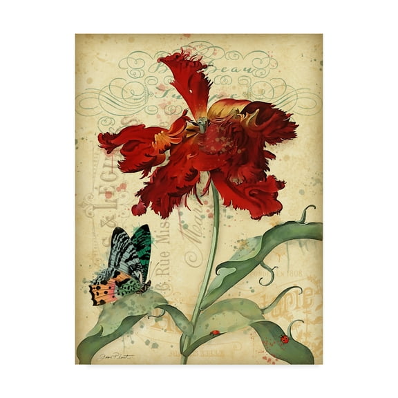 Trademark Fine Art 'French Florals 1' Canvas Art by Jean Plout