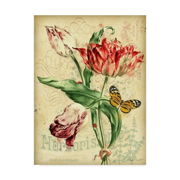 Trademark Fine Art 'French Florals 2' Canvas Art by Jean Plout