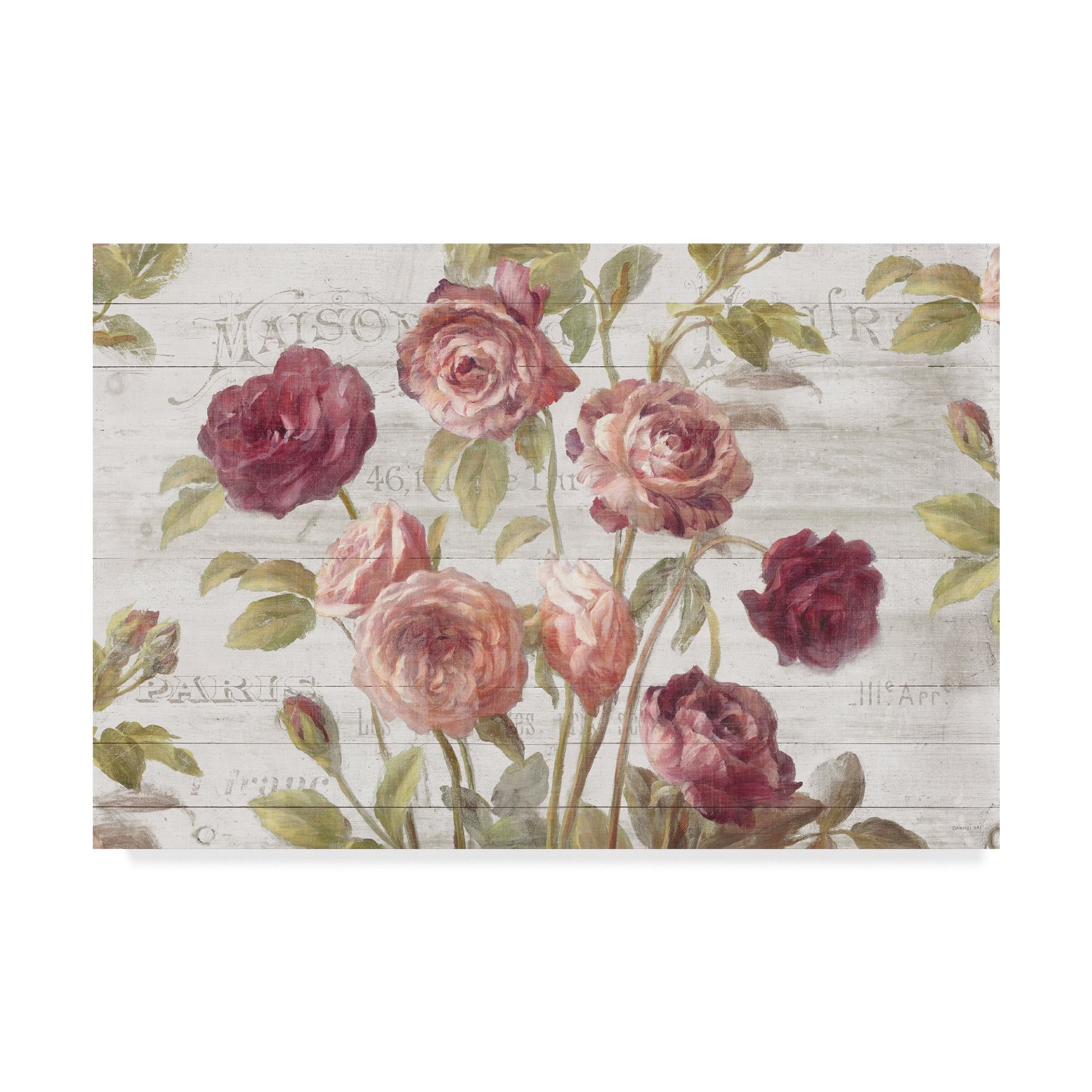 Trademark Fine Art 'French Roses I' Canvas Art by Danhui Nai