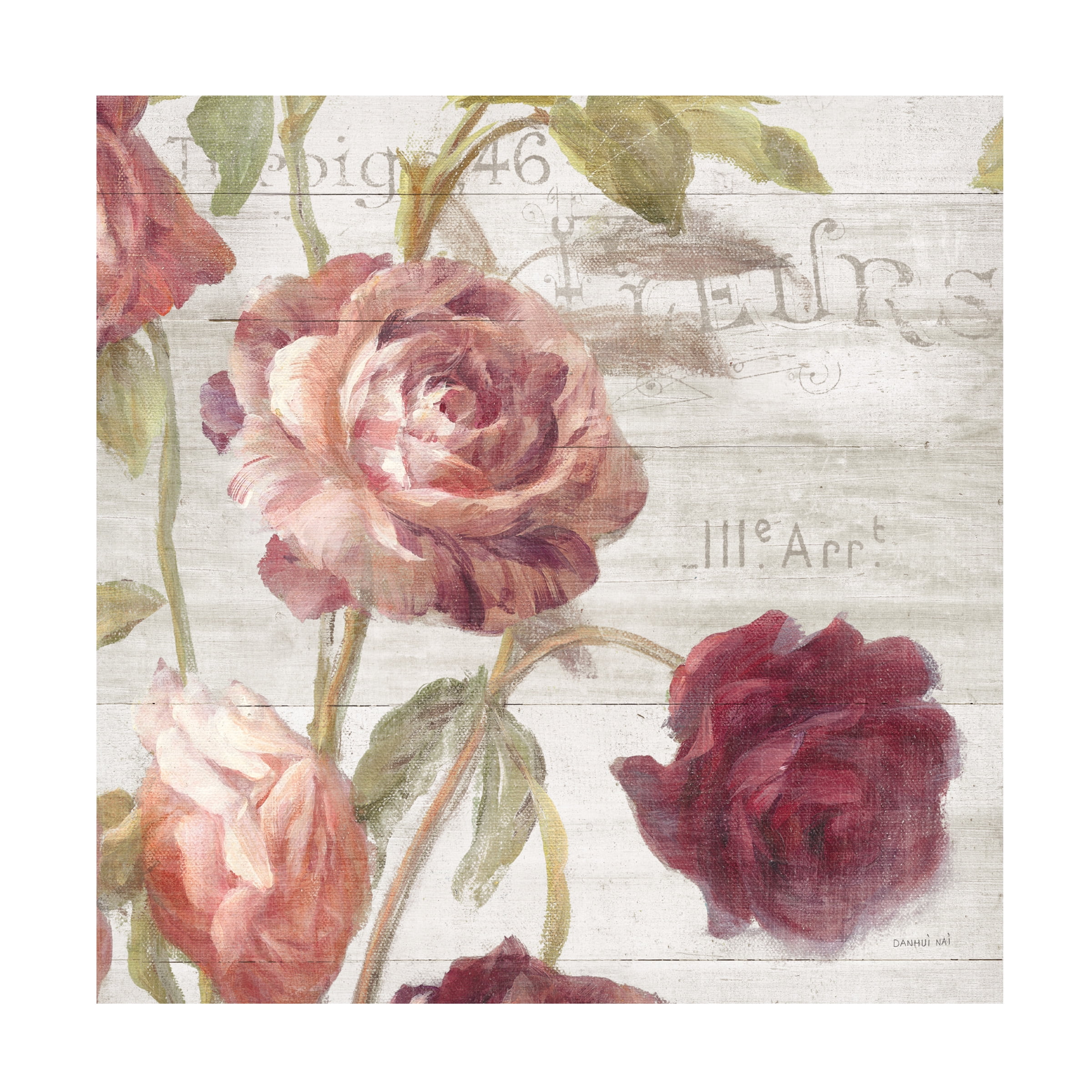 Trademark Fine Art 'French Roses IV' Canvas Art by Danhui Nai