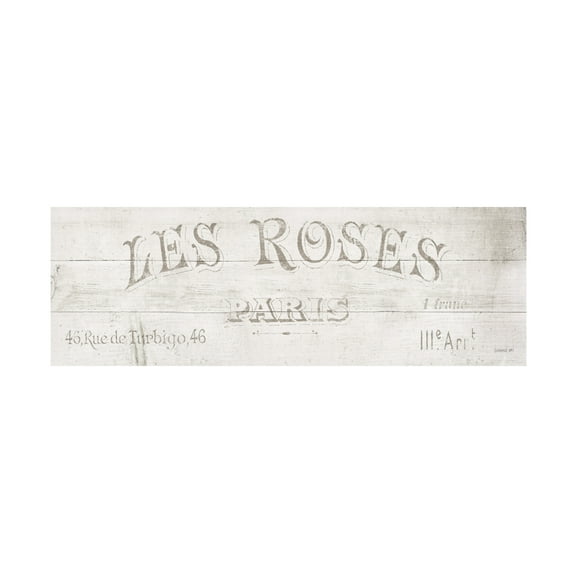 Trademark Fine Art 'French Roses VII' Canvas Art by Danhui Nai