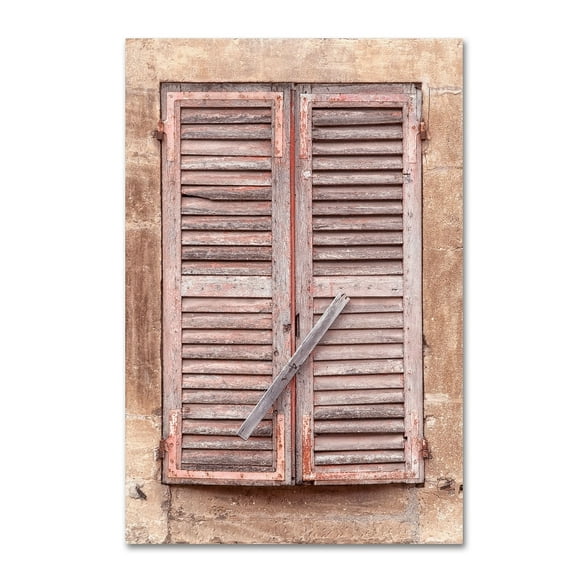 Trademark Fine Art 'French Windows III' Canvas Art by Cora Niele