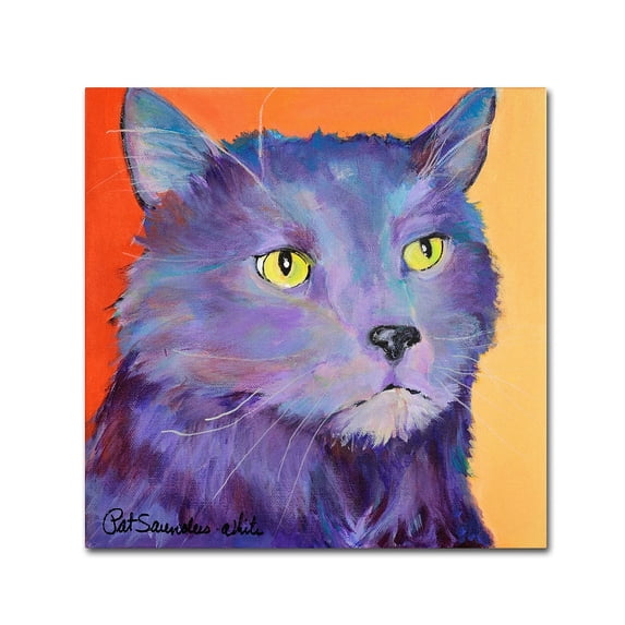 Trademark Fine Art "Frenchy" Canvas Art by Pat Saunders-White