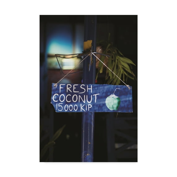 Trademark Fine Art 'Fresh Coconut' Canvas Art by Philippe Sainte-Laudy