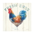 thumbnail image 1 of Trademark Fine Art 'Fresh Eggs Hen' Canvas Art by Danhui Nai, 1 of 4