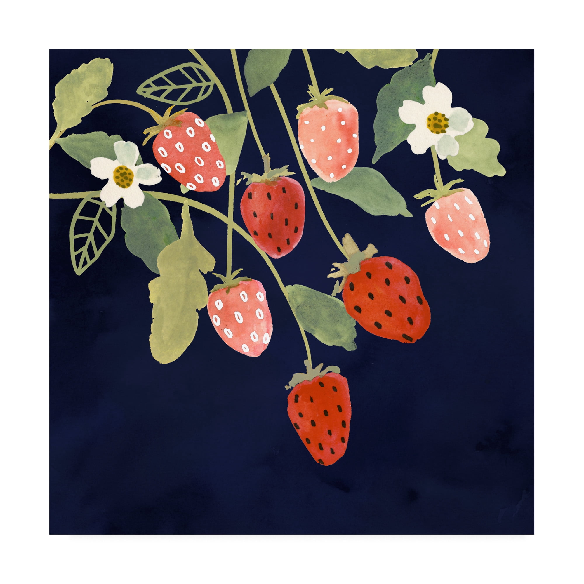 Trademark Fine Art 'Fresh Fruit I' Canvas Art by Victoria Borges