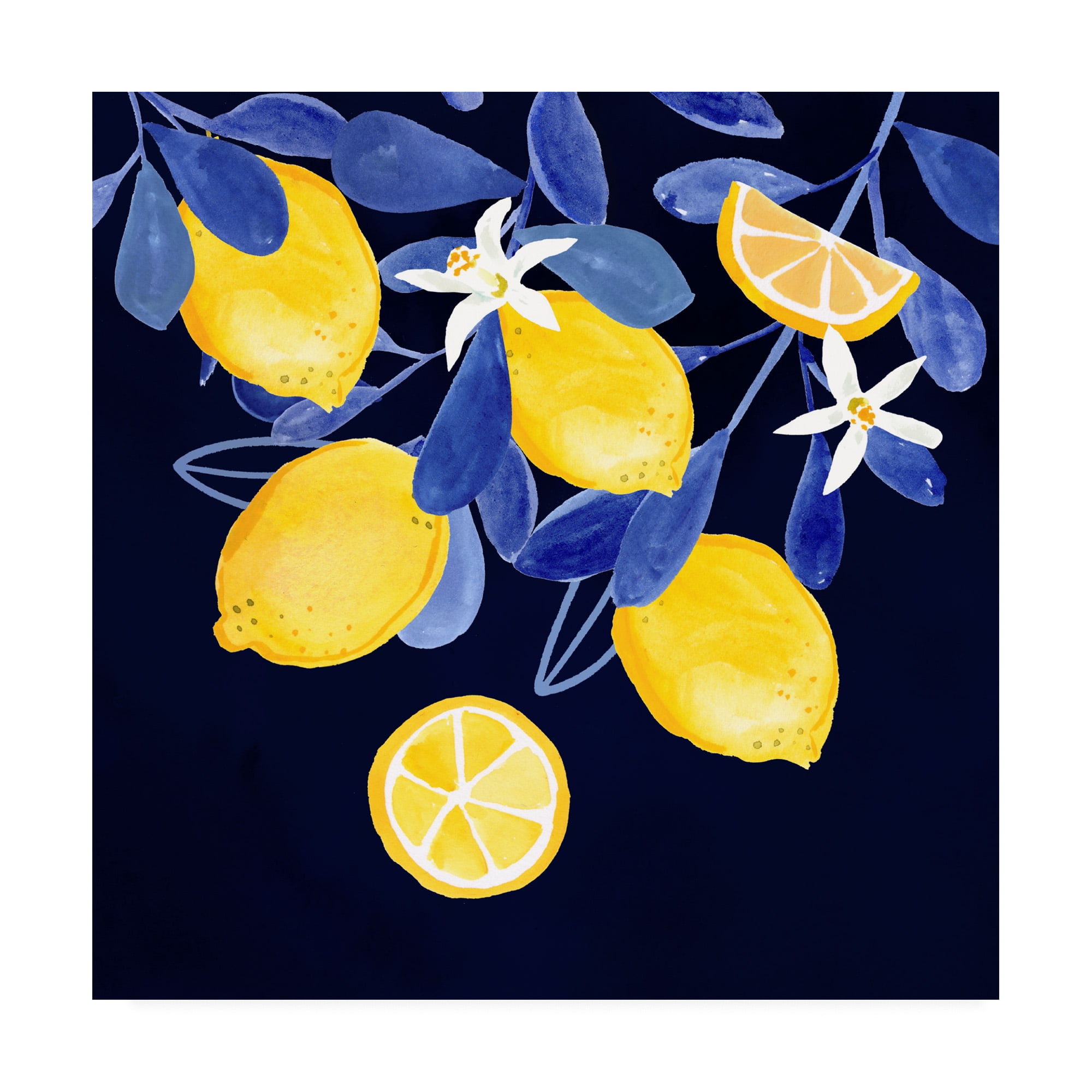 Trademark Fine Art 'Fresh Fruit V' Canvas Art by Victoria Borges
