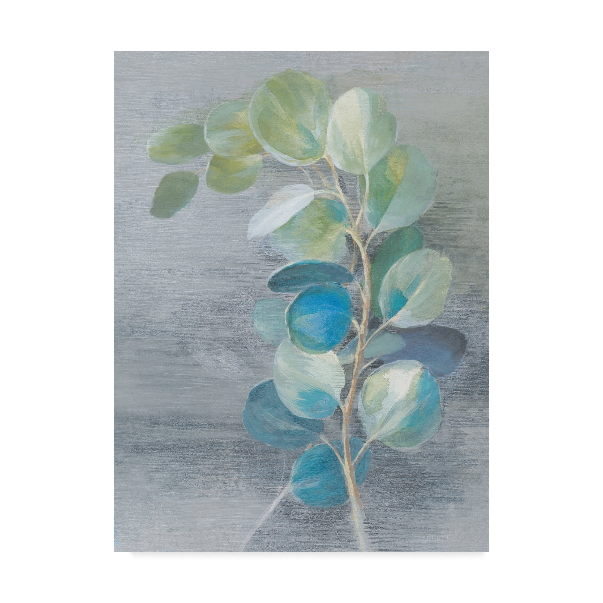 Trademark Fine Art 'Fresh II Light' Canvas Art by Danhui Nai