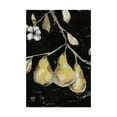thumbnail image 1 of Trademark Fine Art 'Fresh Pears I' Canvas Art by Jennifer Goldberger, 1 of 4