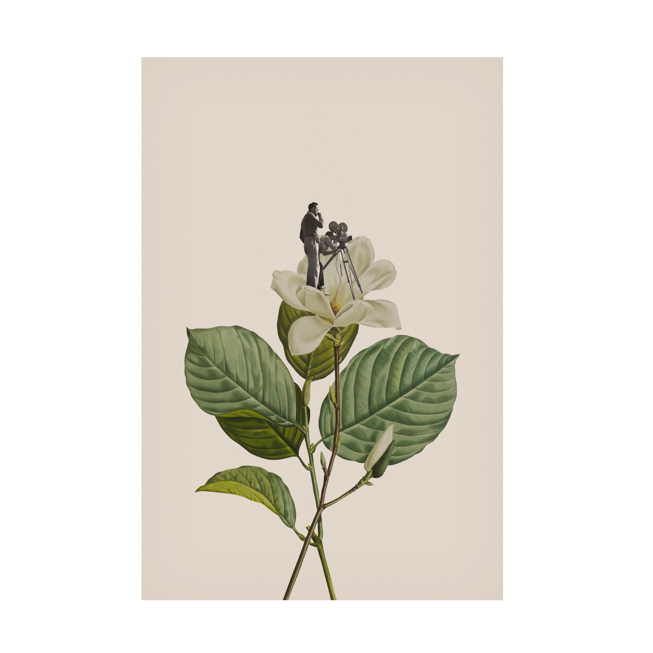 Trademark Fine Art Frida Floral Studio Botanical vintage cameraman Canvas Wall Art