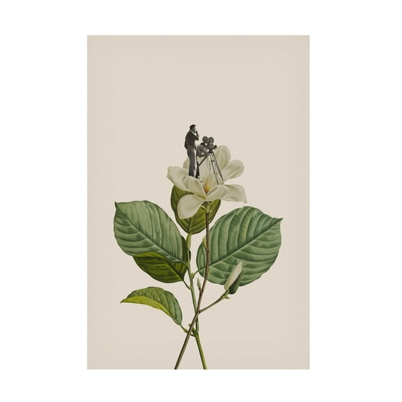 Trademark Fine Art Frida Floral Studio Botanical vintage cameraman Canvas Wall Art