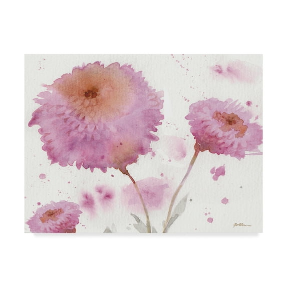 Trademark Fine Art 'Friendship Chrysanthemums' Canvas Art by Sheila Golden