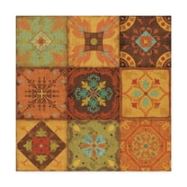 Trademark Fine Art 'From India II' Canvas Art by Pela Studio