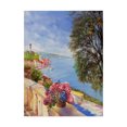 thumbnail image 1 of Trademark Fine Art 'From The Balcony' Canvas Art by Li Bo, 1 of 3