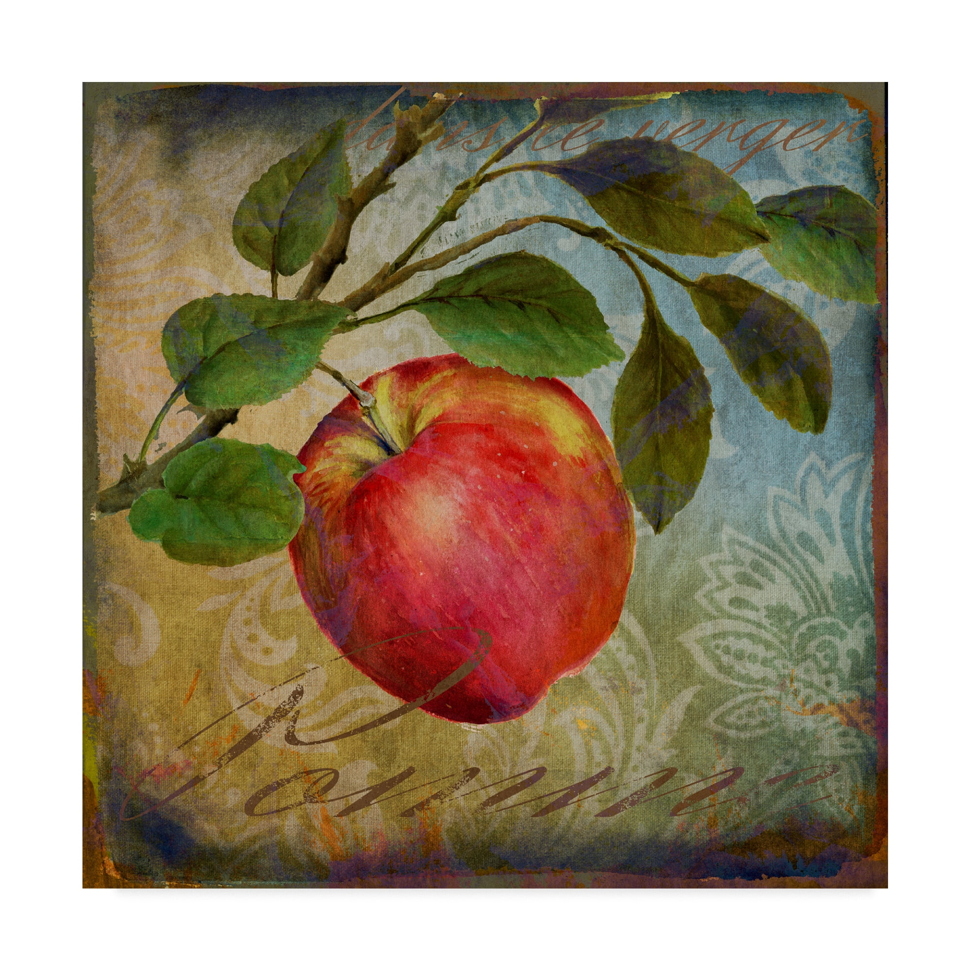 Trademark Fine Art 'From The Grove Apple' Canvas Art by Art Licensing Studio