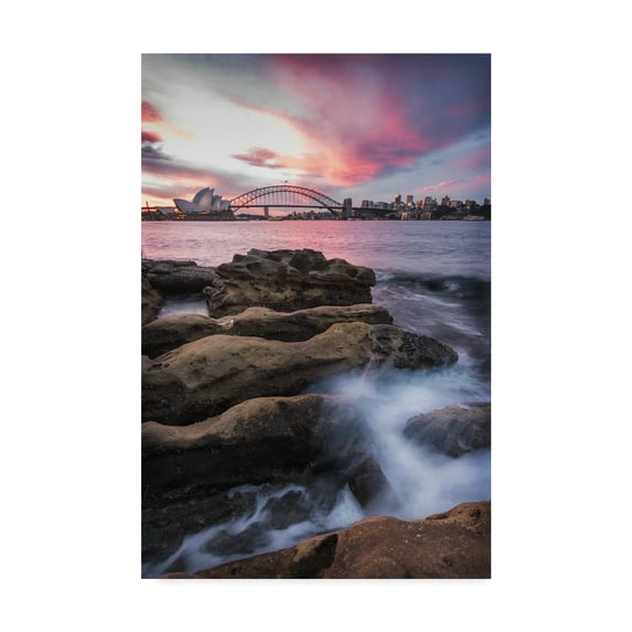 Trademark Fine Art 'From the Rocks' Canvas Art by Danny Head