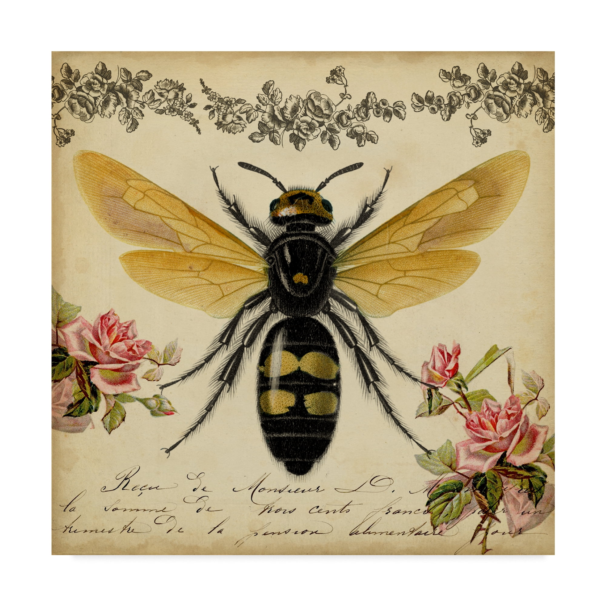 Trademark Fine Art 'From the Rose Garden I' Canvas Art by Vision Studio