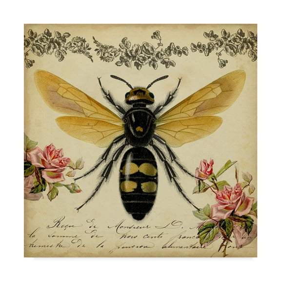 Trademark Fine Art 'From the Rose Garden I' Canvas Art by Vision Studio