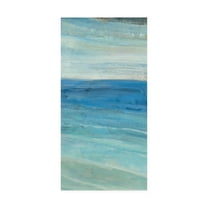 Trademark Fine Art 'From the Shore III' Canvas Art by Albena Hristova