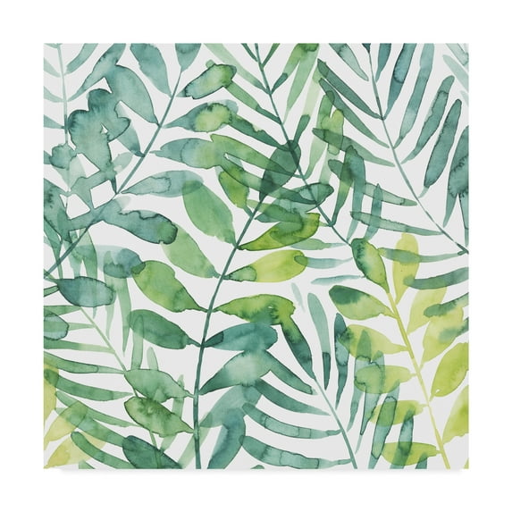 Trademark Fine Art 'Frond Waltz I' Canvas Art by Grace Popp