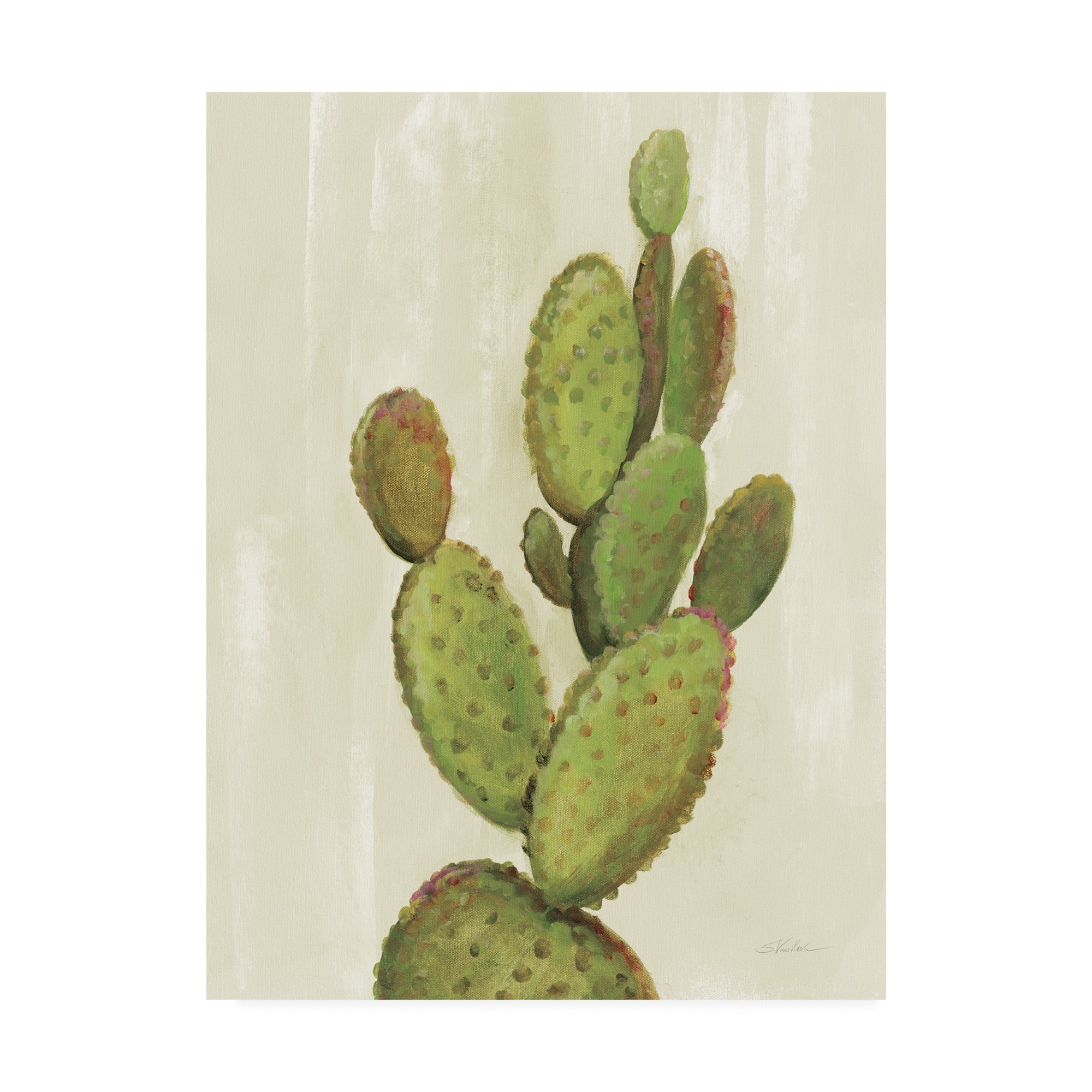 Trademark Fine Art 'Front Yard Cactus I' Canvas Art by Silvia Vassileva