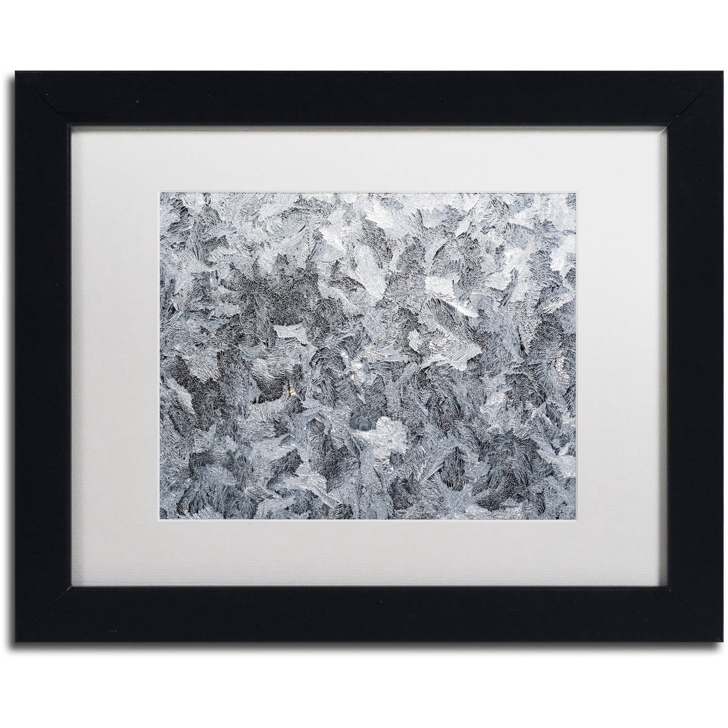 Trademark Fine Art "Frost Mosaic" Canvas Art by Kurt Shaffer White Mat, Black Frame