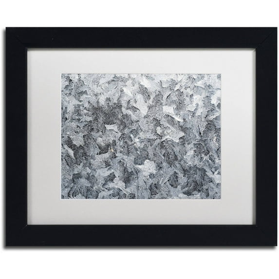 Trademark Fine Art "Frost Mosaic" Canvas Art by Kurt Shaffer White Mat, Black Frame