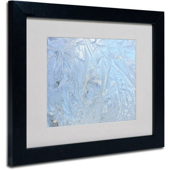 Trademark Fine Art "Frost Pattern 3" Canvas Art by Kurt Shaffer, Black Frame