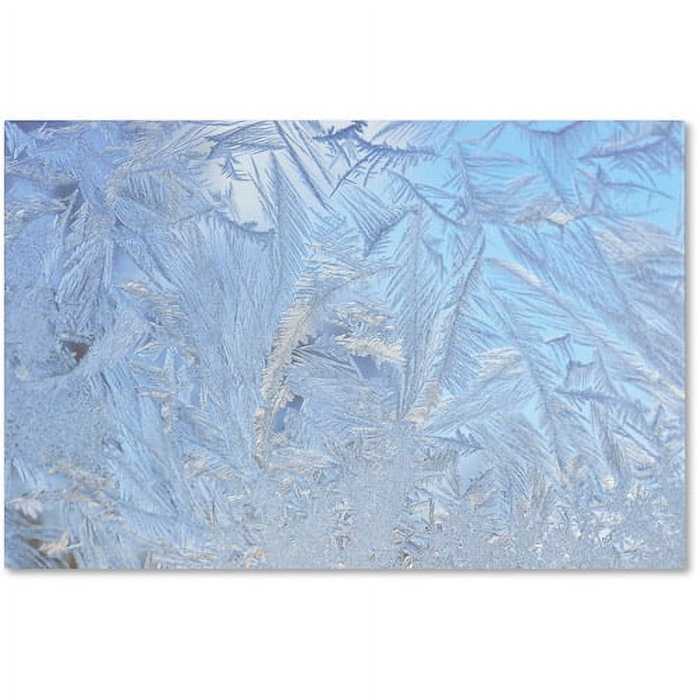 Trademark Fine Art "Frost Pattern 3" Canvas Art by Kurt Shaffer