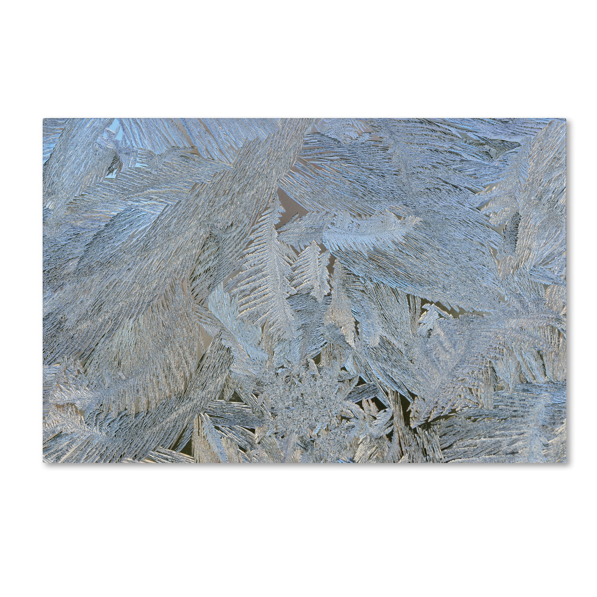 Trademark Fine Art "Frost Pattern #5" Canvas Art by Kurt Shaffer