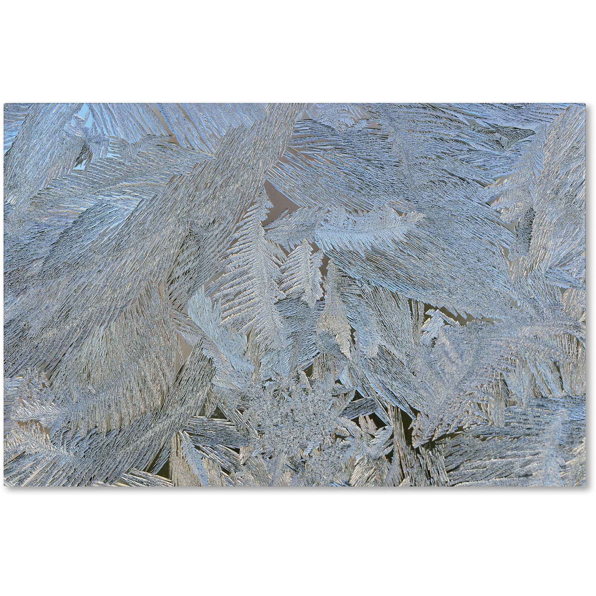 Trademark Fine Art "Frost Pattern #5" Canvas Art by Kurt Shaffer