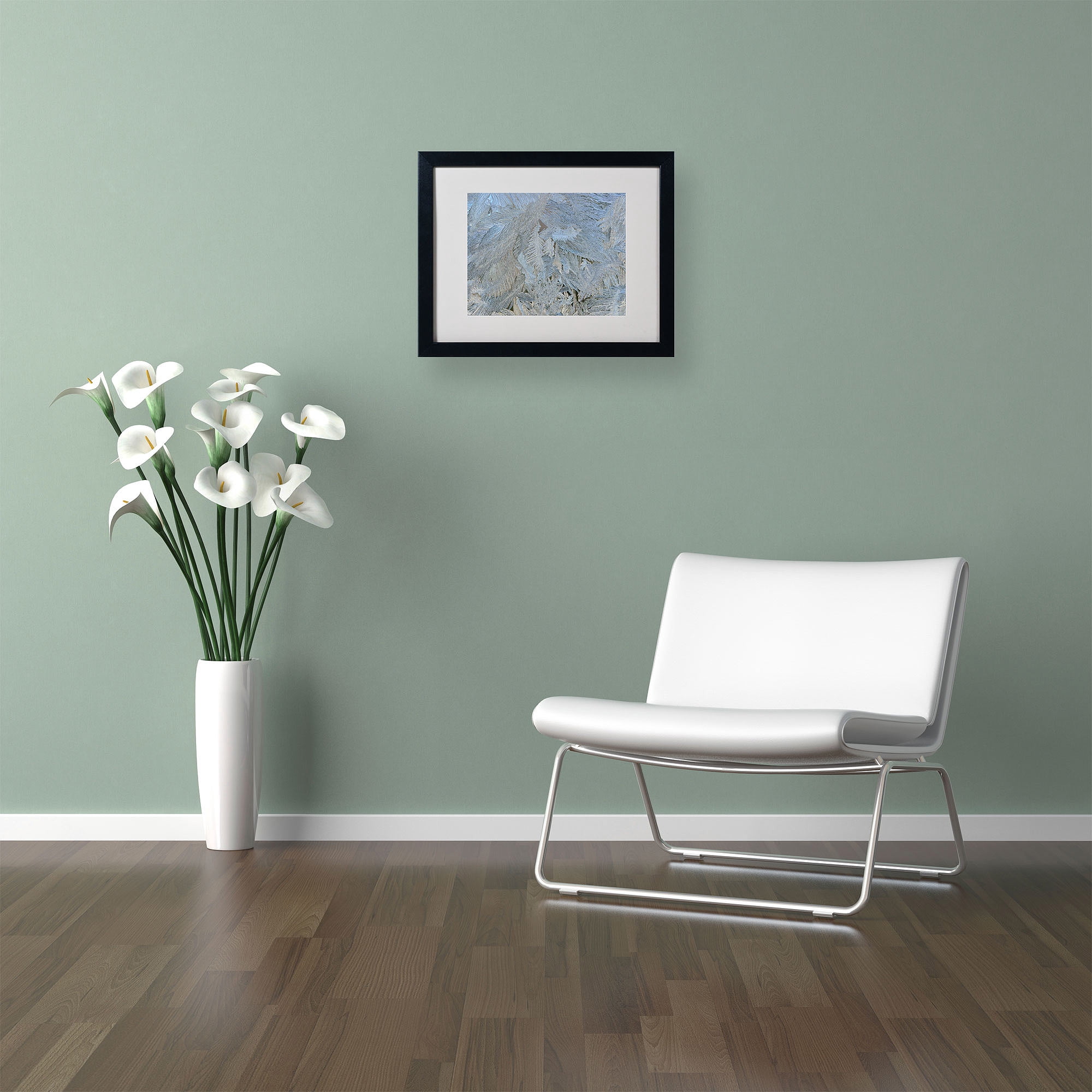 Trademark Fine Art "Frost Pattern #5" by Kurt Shaffer, Black Frame