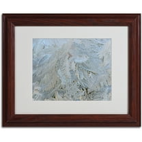 Trademark Fine Art "Frost Pattern #5" by Kurt Shaffer, Wood Frame