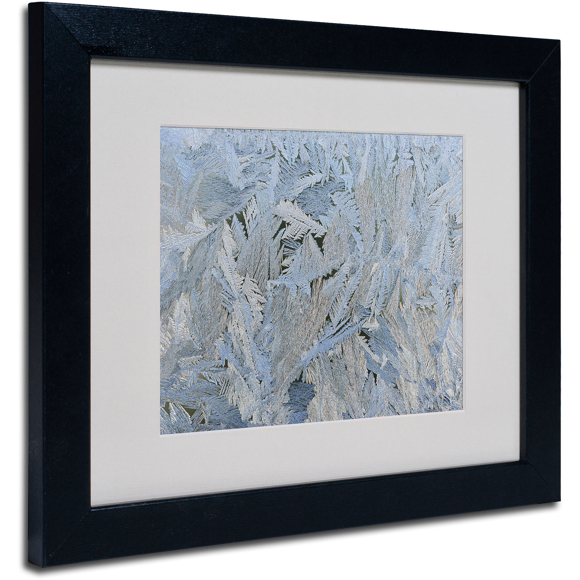Trademark Fine Art "Frost Pattern #6" by Kurt Shaffer, Black Frame