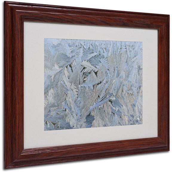Trademark Fine Art "Frost Pattern #6" by Kurt Shaffer, Wood Frame