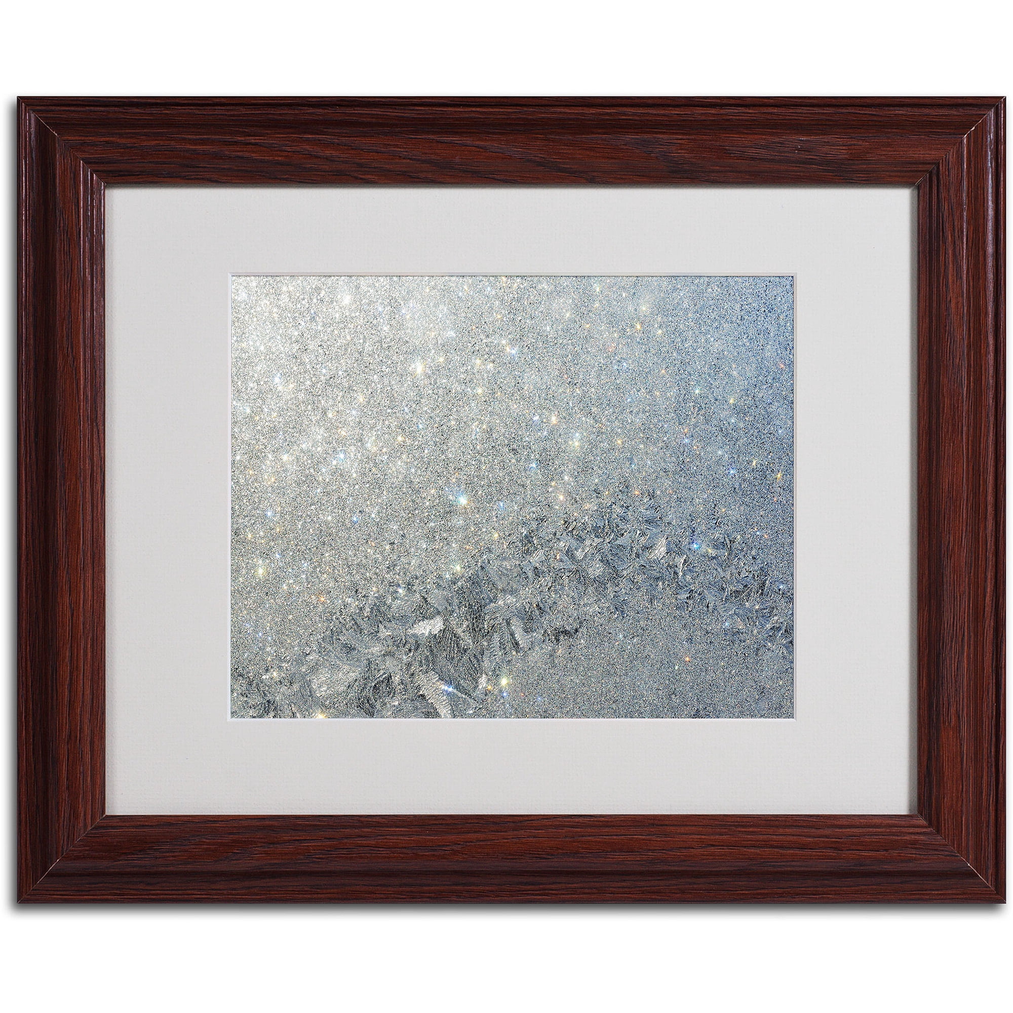 Trademark Fine Art "Frost Pattern Sun Stars" by Kurt Shaffer, Wood Frame