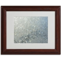 Trademark Fine Art "Frost Pattern Sun Stars" by Kurt Shaffer, Wood Frame
