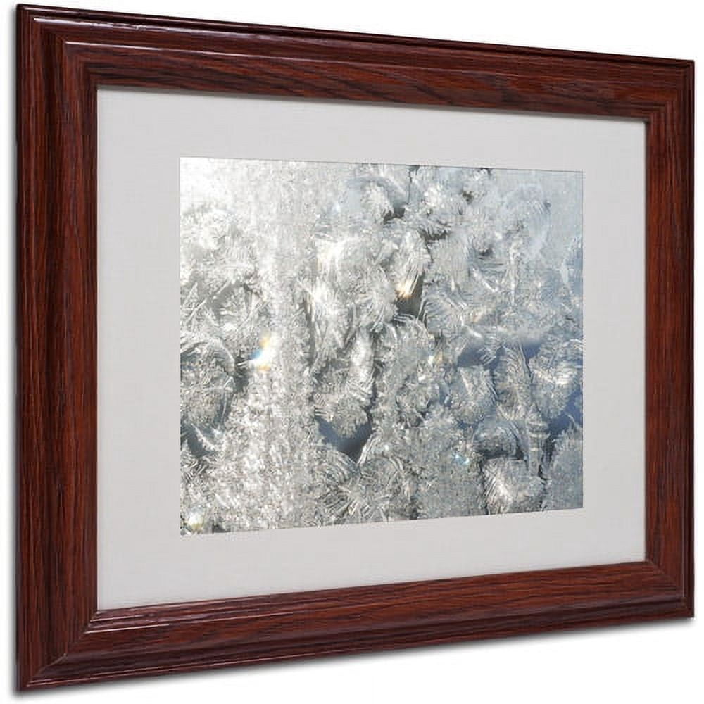 Trademark Fine Art "Frost Pattern in the Sun" Canvas Art by Kurt Shaffer, Wood Frame
