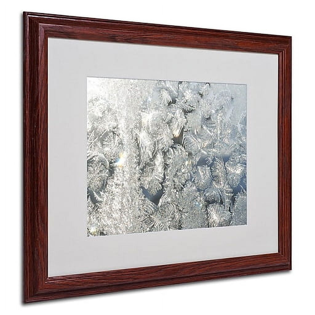 Trademark Fine Art "Frost Pattern in the Sun" Canvas Art by Kurt Shaffer, Wood Frame