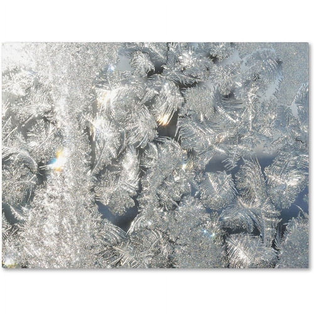 Trademark Fine Art "Frost Pattern in the Sun" Canvas Art by Kurt Shaffer
