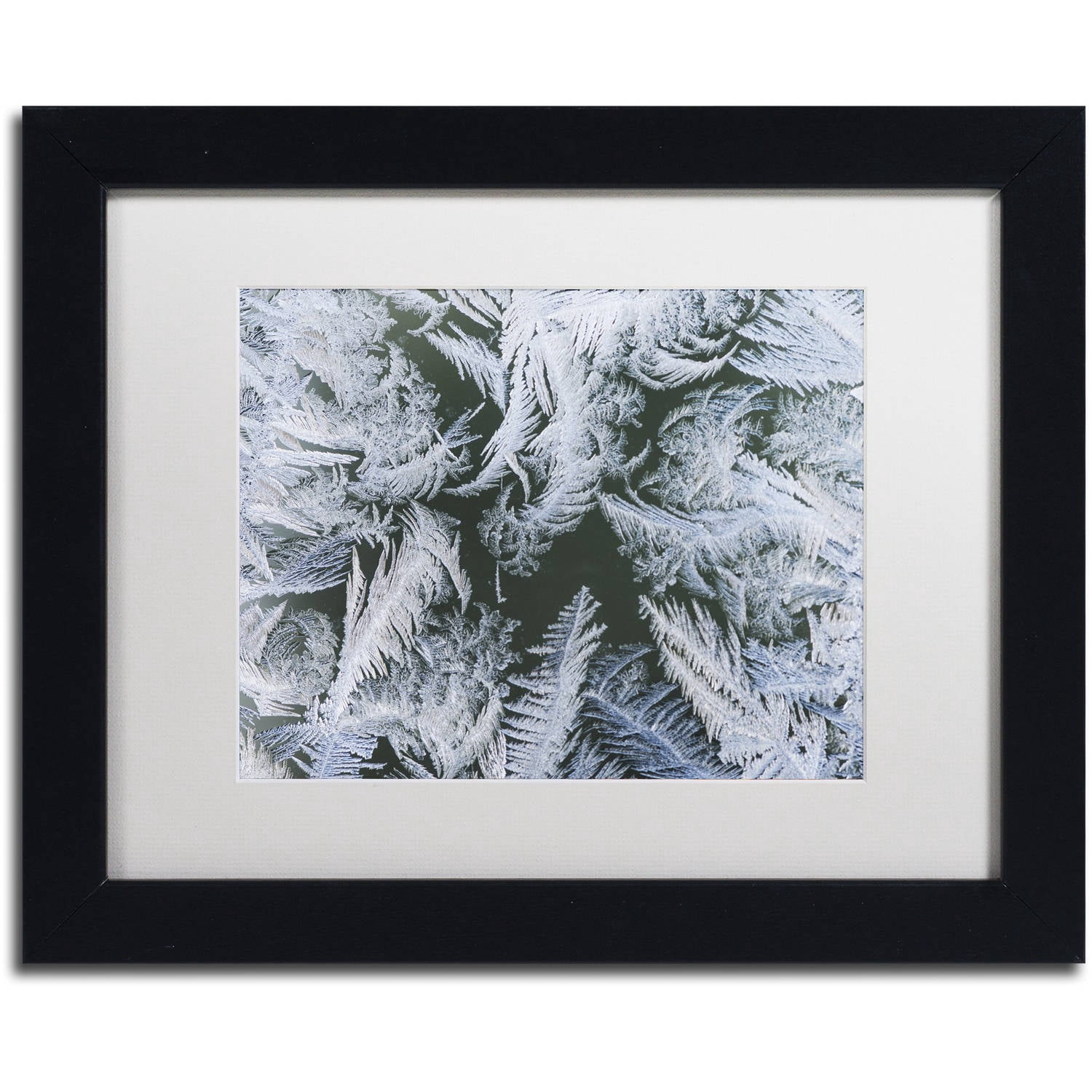 Trademark Fine Art "Frost at Zero Degrees" Canvas Art by Kurt Shaffer White Mat, Black Frame