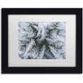 thumbnail image 1 of Trademark Fine Art "Frost at Zero Degrees" Canvas Art by Kurt Shaffer White Mat, Black Frame, 1 of 4