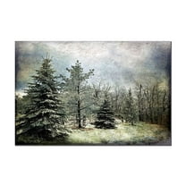 Trademark Fine Art "Frosty" Canvas Art by Lois Bryan